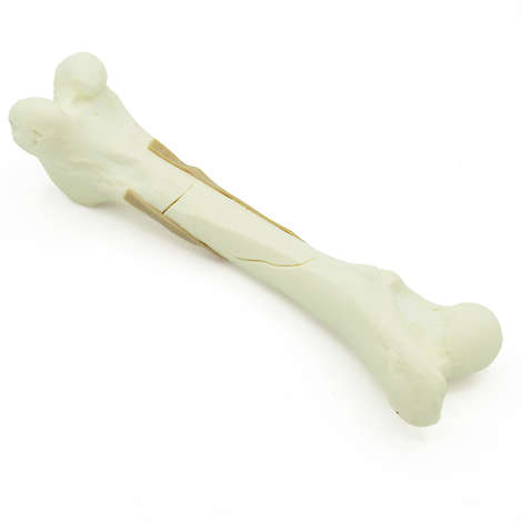 Femur mit Trümmerfraktur - Hund (solide)