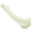 Thumb: Femur - Hund (solide)