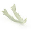 Thumb: Canine Mandibula (solid)