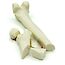 Thumb: Feline Femur with femoral neck fracture and comminuted fracture (solid)
